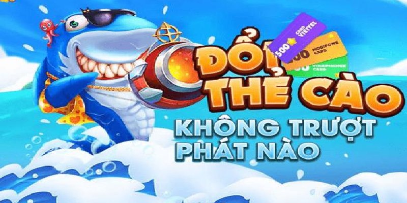 Săn cá đổi thẻ cào cực chất