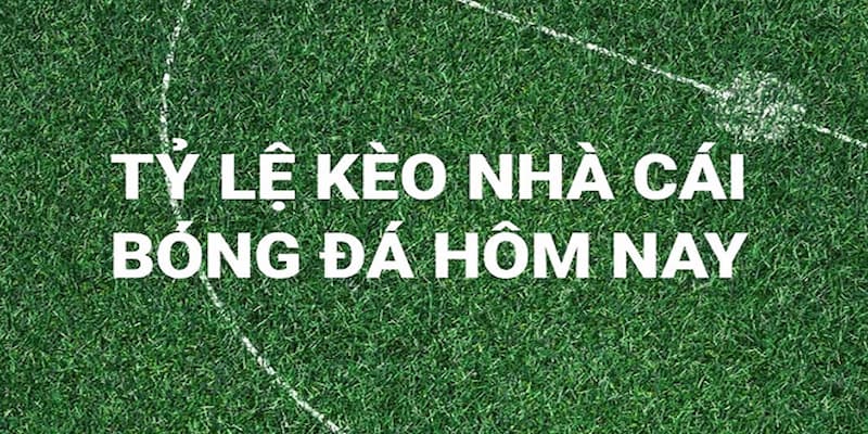Các vấn đề sẽ ảnh hưởng đến tỷ lệ kèo nhà cái